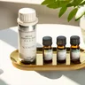Hotel kollektion ätherisches Öl Duft Luxushotel inspiriert Aroma therapie Duft Diffusor Öl Parfums