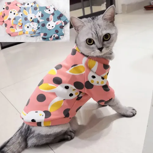 Süße Pet Kleidung für Katzen Winter Warme Katze Kostüm Katten Gotas Kedi Sphynx Hoodie Pullover