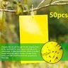 50 Blatt gelbe Fliegen fallen Käfer klebriges Brett doppelseitig fangen Blattlaus Insekten