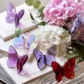 Mariposas Schmetterling Fee Flügel flatternden Glas Kristall Papillon Glück glänzt vibrierend mit