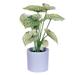 Vickerman 724590 - 11.5" Light Green Leaves in Pot 2/Bag (FR230613) Home Office Bushes