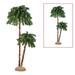 Puleo International 3.5 ft. & 6ft Pre-Lit Artificial Double Trunk Palm Tree