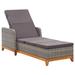 Aibecy Sun Lounger Poly Rattan and Solid Acacia Wood Gray