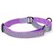 Purple Orchid Personalized Reflective Martingale Dog Collar, Small