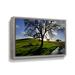 Hokku Designs Dejarvis California Oak in Late Afternoon Light - Print on Canvas in Blue/Green | 8 H x 12 W x 2 D in | Wayfair