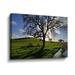 Hokku Designs Dejarvis California Oak in Late Afternoon Light - Print on Canvas in Blue/Green | 16 H x 24 W x 2 D in | Wayfair