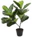 Fiddle Fig Leaf 30" Tree - Pack Of 4