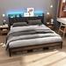 17 Stories Bair Bed Metal in Brown | 40.6 H x 55.5 W x 81.5 D in | Wayfair B29AFD18894A4051BE57B9AF02115E10