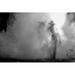 Hokku Designs Cigi A Black & White Photo Of A Cowboy Walking w/ A Trusty Horse. On Canvas by Subinpumsom Photograph in Black/Gray/White | Wayfair