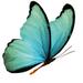 Gracie Oaks Fiorindo Tropical Flying Butterfly Canvas in Black/Blue/Orange | 20 H x 20 W x 1.25 D in | Wayfair 8AB21AE06B624DCCA79DFA53F49A5D4D