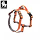 Truelove Pet Harness Adjustable Reflective Nylon with Collar Leash LED Light Neoprene Padded Hiking