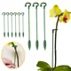 2/5/10pcs Plastic Plant Supports Flower Stand Reusable Protection Fixing Tool Gardening Supplies For