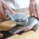 Fish Scales Graters Scraper Fish Cleaning Tool Scraping Scales Device with Cover Home Kitchen