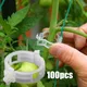 50/ 100pcs Plant Support Clips for Garden Tomato Vegetable Vines Upright Clip Reusable Gardening