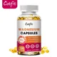 Catfit Glycine Magnesium Capsules Cognitive Function Brain Neurotic conduction Support Calm mood