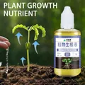 Root Stimulator For Plants High-Performing Organic Plant And Tree Root Stimulator 50ml Organic