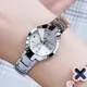 High Quality Watches Women Fashion Watch 2024 Luxury Brand Quartz Ladies Watch Small Dial Calendar