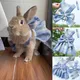 Rabbit JK Dresses and Leash Sets Mesh Plaid Pet Vest Harness for Cats Bunny Summer Small Animals