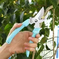 Pruning Shears Scissors Planting Hand Garden Tools Parts Cutter Grafting Pruner Orchard Knife Grafts