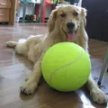 7/8/9.5Inch Dog Tennis Ball Giant Pet Toys for Dog Chewing Toy Signature Mega Jumbo Kids Ball