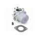 Carburateur pour moteur Briggs & Stratton 799728