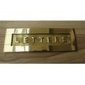 Ironmongery World® Sprung solid brass Vintage period home letter box postal plate cover Victorian (12" - LETTERS EMBOSSED)