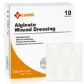 10pcs 4"x4" Calcium Alginate Wound Dressing Soft and Absorbent Dressing Gauze Non Stick Pads