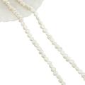 2 Strands 220 Pcs Natural Cultured Freshwater Pearl Beads 4x3mm Grade A Two Sides Polished White Freshwater