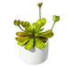 Artificial plants large cylindrical ceramic flower pots artificial succulent potted plants artificial flowers and green plants - type:style3;