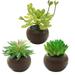 3pcs brown medium round pot succulent potted plants creative indoor small ornaments artificial flowers simulation bonsai flowers - type:style1;