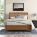 Beachcrest Home™ Benford Queen Platform Bed Wood in Brown | 48.8 H x 63 W x 84.5 D in | Wayfair 437FD86CCBD2401B86F71BE1C5375A86