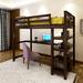 Harriet Bee Gorgias Twin Loft Bed Wood in Brown | 68.3 H x 42 W x 79.7 D in | Wayfair DF68274919E54F1A92307D00BFFA375E