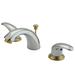 Elements of Design Daytona Widespread Bathroom Faucet w/ Drain Assembly, Stainless Steel in Gray | 3.5 H in | Wayfair EB6954LL
