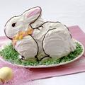 Nordic Ware Seasonal Easter Bunny 3D Cake Mold Aluminum in Gray | 3 H x 7.6 W in | Wayfair 41200