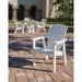 POLYWOOD® Seashell Dining Chair Plastic/Resin in Brown | 35.75 H x 27 W x 27.75 D in | Outdoor Dining | Wayfair SHD19SA