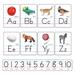 TREND enterprises, Inc. Photo Alphabet Cards Zaner-Bloser Manuscript Letter | 31 H x 18 W x 0.06 D in | Wayfair T-721