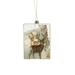 Starlight Collection Clear Hanging 3D Picture Frame Ornament (Pack Of 2) Glass | 5 H x 3.5 W x 1 D in | Wayfair DK2924B