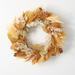 The Holiday Aisle® Liburna Faux Pampas Polyester 24" Wreath in Brown | 24 H x 24 W x 4.5 D in | Wayfair D38E7D1DD702411D9887205BD2525703