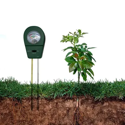 Humidimètre de sonde de sol pour plantes domestiques testeur de lumière du soleil testeur de