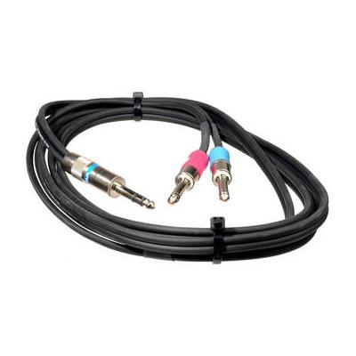 Pro Co Sound Insert Y-Cable 1/4
