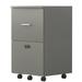 Cterwk File Cabinet with 2 Drawers with Lock Office Storage Cabinet Wooden Drawer