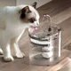 Fontaine à eau pour animaux de compagnie filtre à capteur automatique mangeoire pour chiens et