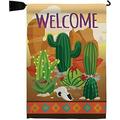 Cactus Garden Flag Set Mailbox Hanger Country Living Southwest Desert Succulent Particular Area Small Decorative Gift Yard House Banner Made In 13 X 18.5