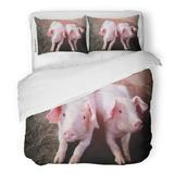 KXMDXA 3 Piece Bedding Set Two Small Piglet Sleep on Ground Floor Group of Pig Indoor Farm Yard in Thailand Swine The Stall Eyes and Blur Twin Size Duvet Cover with 2 Pillowcase for Home Bedding Room