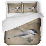 ZHANZZK 3 Piece Bedding Set Carolina Chickadee Poecile Carolinensis Posing Nicely Avian Twin Size Duvet Cover with 2 Pillowcase for Home Bedding Room Decoration