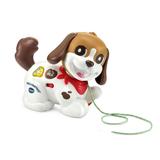 VTechÂ® Walk & Woof Puppyâ„¢ Pull-Along Dog for Toddlers