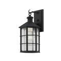 B2511-FRN-Troy Lighting-Lake County - 1 Light Outdoor Wall Sconce
