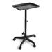 Black Mobile Rolling Trolley Cart Salon Hairdressing Tool Beauty Instrument Storage Service Tray Rack Stand Adjustable Height