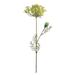 Anise Stem - Yellow - Ballard Designs Yellow - Ballard Designs