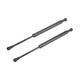 Gas Struts Springs 2 PCS Rear Trunk Lift Support Shocks Struts For LEXUS For IS250 For IS350 2010 2010 2011 2012 2013 2014 2015 CONVERTIBLE Tailgate Gas Struts